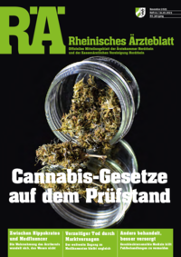 RAE Ausgabe 11/2025