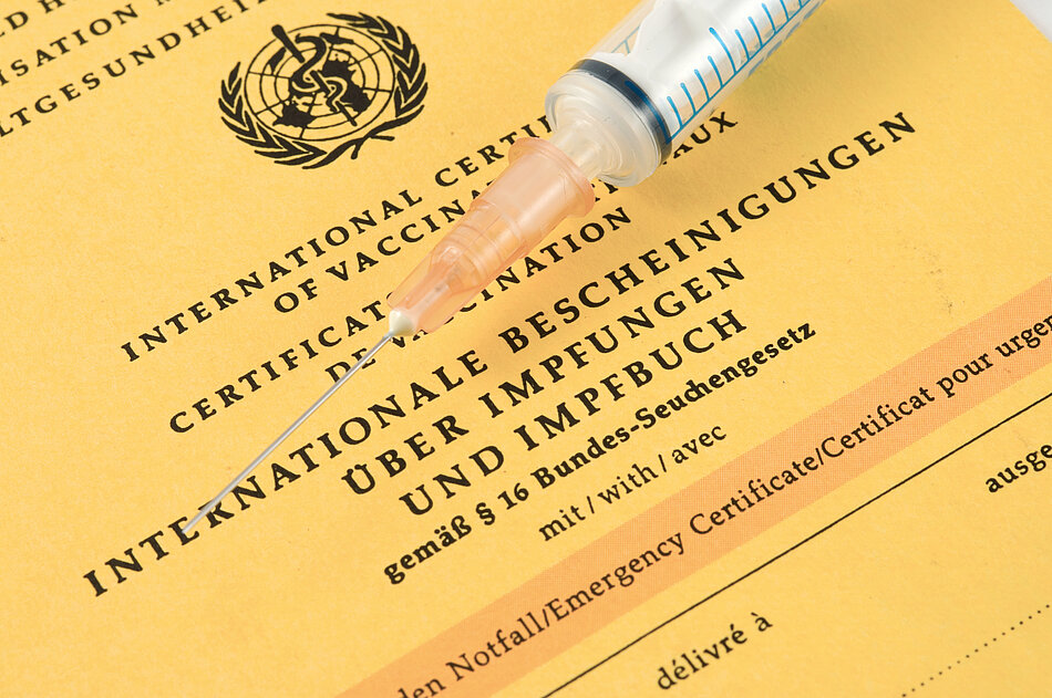 Impfausweis und Spritze Spritze liegt auf Impfausweis